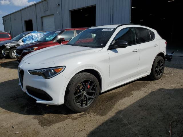 ALFA-ROMEO STELVIO 2020 zaspajanxl7c89192