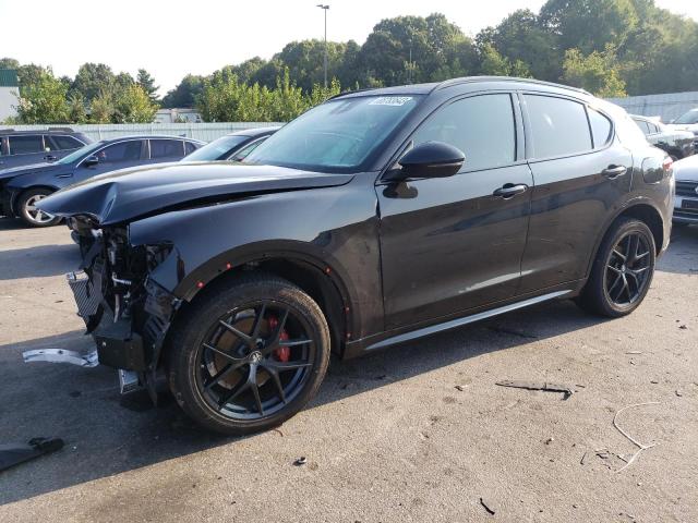 ALFA-ROMEO STELVIO 2020 zaspakan1l7c85344