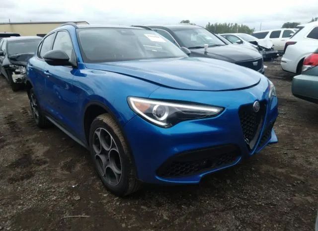 ALFA-ROMEO STELVIO 2021 zaspakan1m7d17159