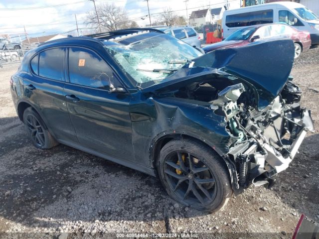 ALFA ROMEO STELVIO 2019 zaspakan4k7c40834