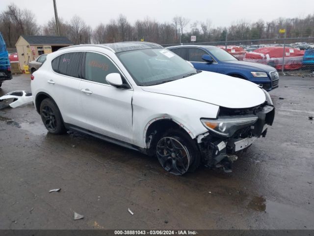 ALFA-ROMEO STELVIO 2019 zaspakan5k7c58372