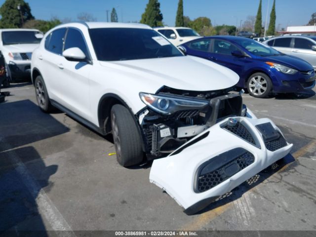 ALFA-ROMEO STELVIO 2019 zaspakan6k7c60311