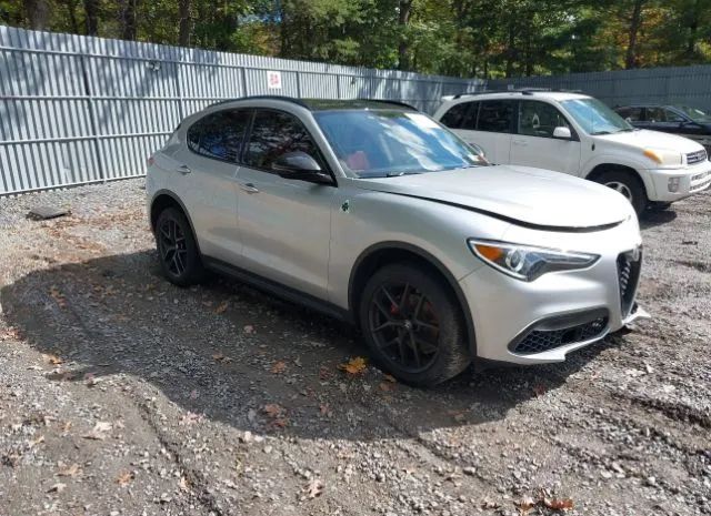 ALFA-ROMEO STELVIO 2020 zaspakan7l7c96123