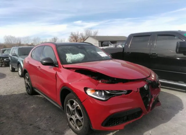 ALFA-ROMEO STELVIO 2021 zaspakan7m7d17778