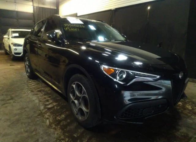 ALFA-ROMEO STELVIO 2021 zaspakan9m7d19788