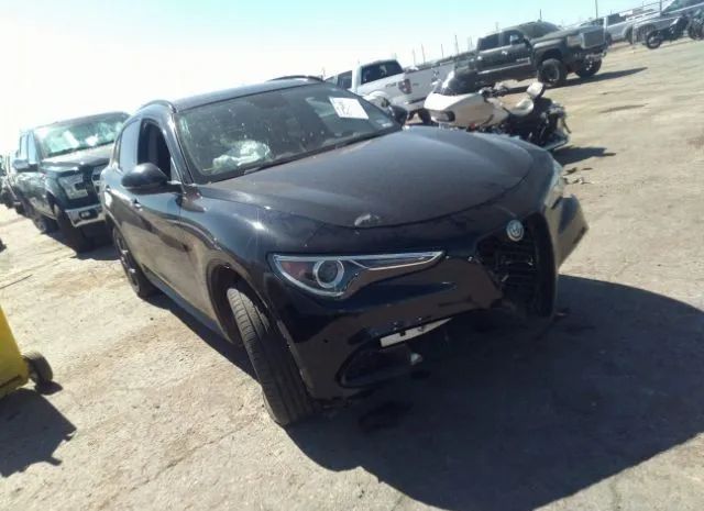 ALFA-ROMEO STELVIO 2019 zaspakanxk7c33970