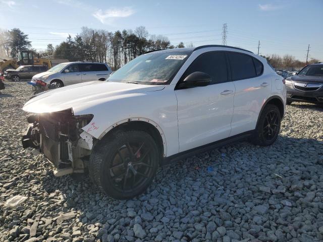 ALFA-ROMEO STELVIO 2019 zaspakanxk7c40255