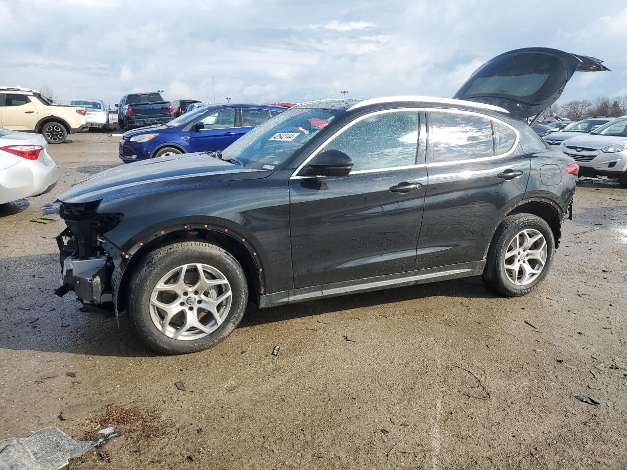 ALFA-ROMEO STELVIO 2020 zaspakanxl7c98335