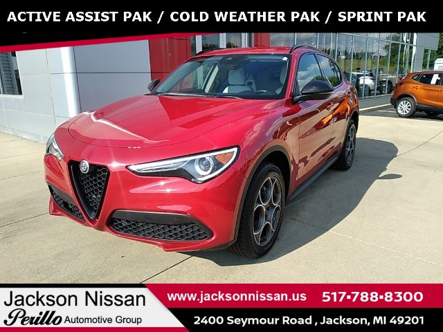 ALFA-ROMEO STELVIO 2021 zaspakanxm7d02739