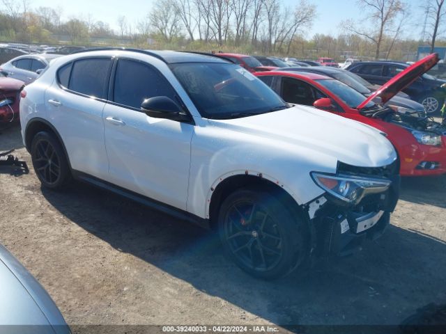 ALFA-ROMEO STELVIO 2019 zaspakbn0k7c50534