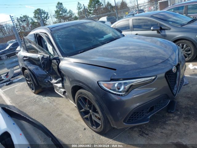 ALFA-ROMEO STELVIO 2021 zaspakbn0m7d09519