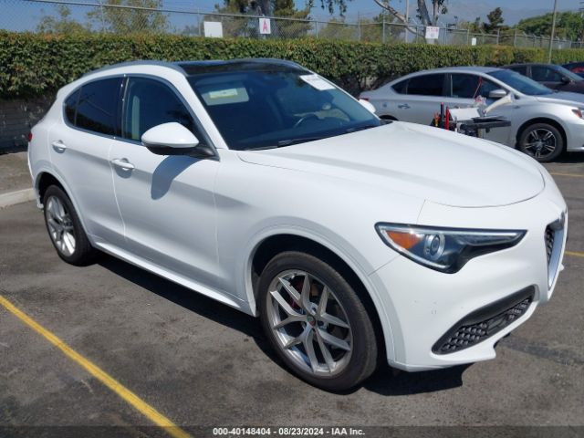 ALFA-ROMEO STELVIO 2021 zaspakbn0m7d18821