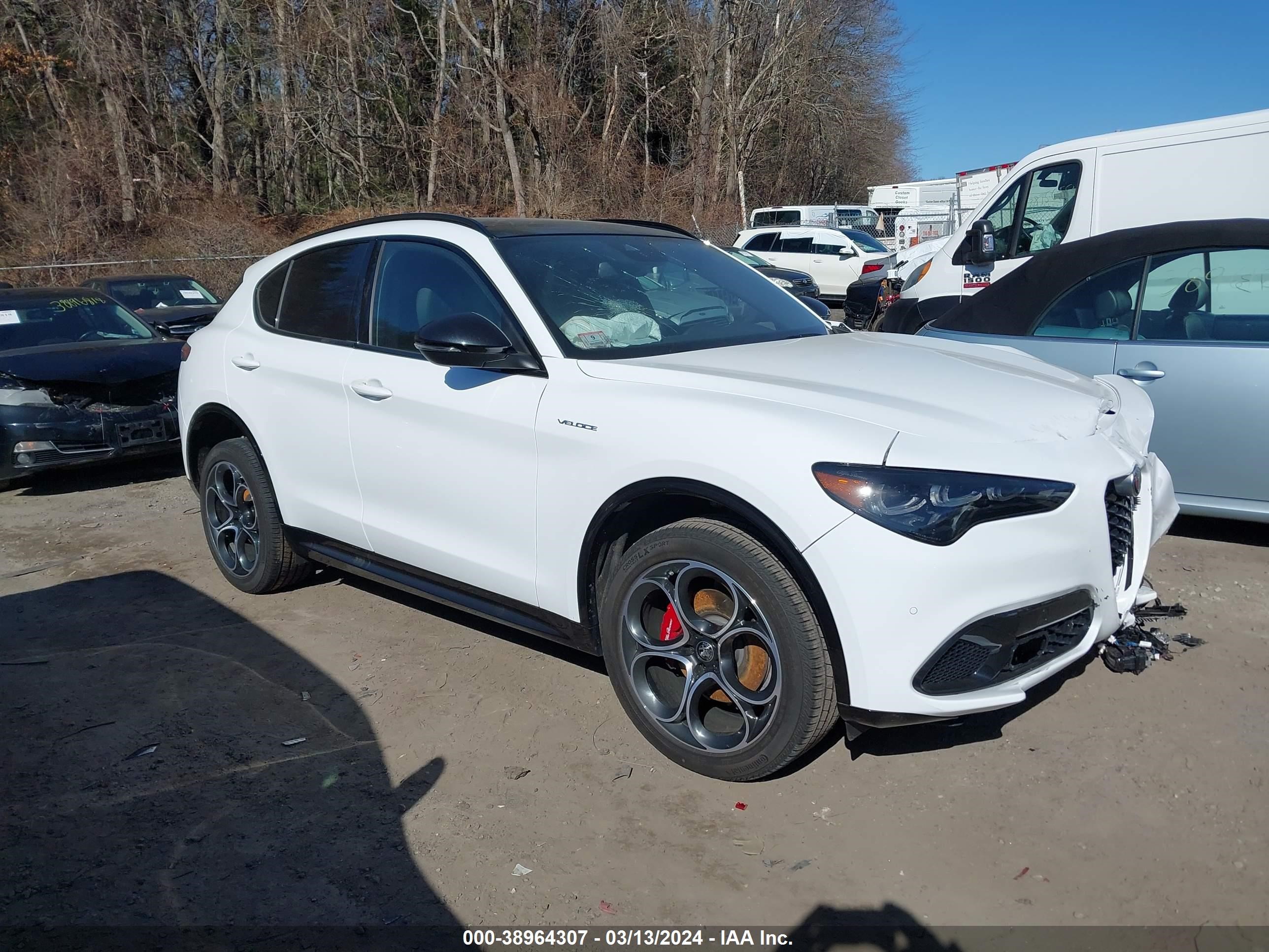 ALFA-ROMEO STELVIO 2024 zaspakbn0r7d74281