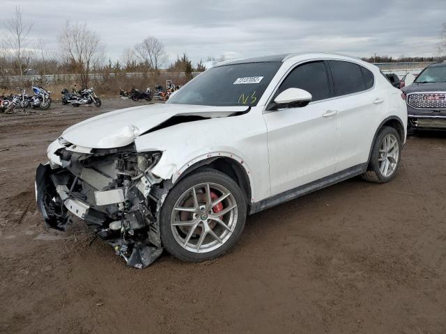 ALFA-ROMEO STELVIO TI 2019 zaspakbn1k7c41891