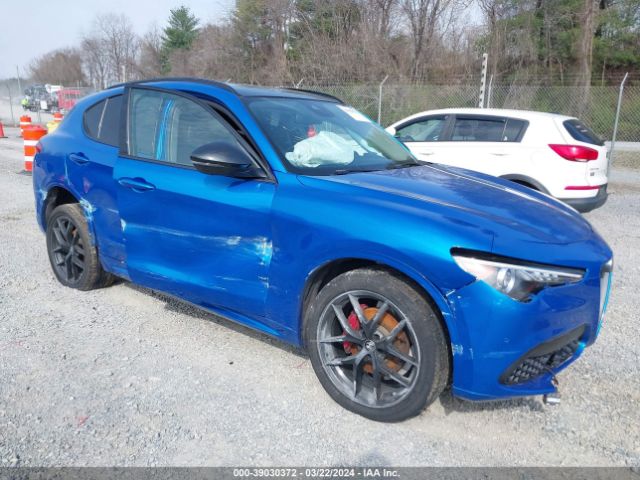 ALFA-ROMEO STELVIO 2020 zaspakbn1l7c76948