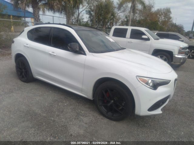 ALFA-ROMEO STELVIO 2021 zaspakbn1m7d03244