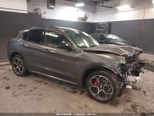 ALFA-ROMEO STELVIO 2022 zaspakbn1n7d24628