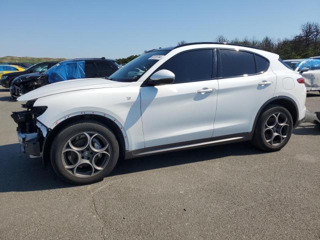 ALFA-ROMEO STELVIO TI 2022 zaspakbn1n7d39713