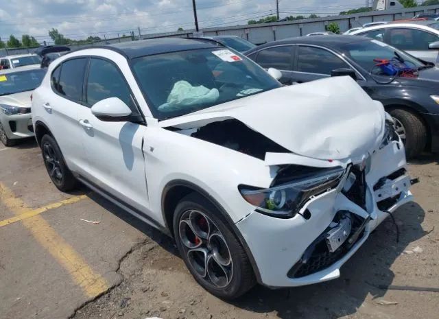 ALFA-ROMEO STELVIO 2023 zaspakbn1p7d51203