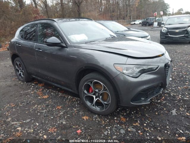 ALFA ROMEO STELVIO 2024 zaspakbn1r7d74287