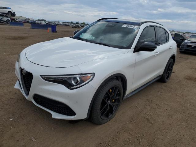 ALFA-ROMEO STELVIO 2019 zaspakbn2k7c50213