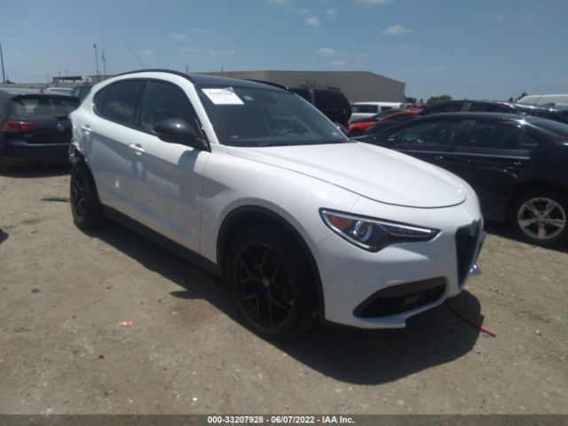 ALFA-ROMEO STELVIO 2019 zaspakbn2k7c69487