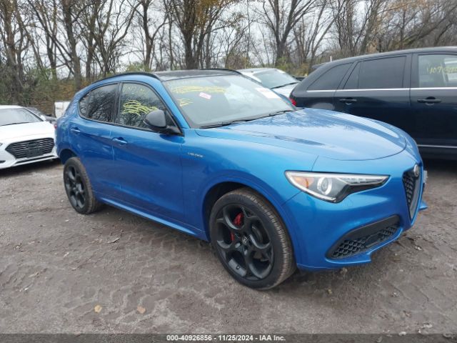 ALFA-ROMEO STELVIO 2022 zaspakbn2n7d42412