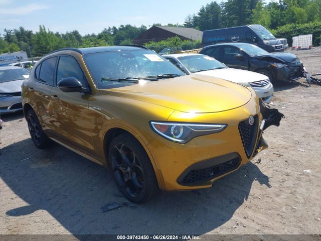 ALFA-ROMEO STELVIO 2023 zaspakbn2p7d54806