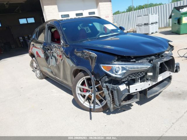 ALFA-ROMEO STELVIO 2019 zaspakbn3k7c29922