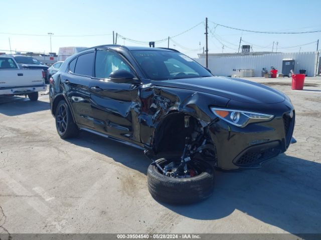 ALFA-ROMEO STELVIO 2020 zaspakbn3l7c76126