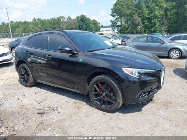 ALFA-ROMEO STELVIO 2020 zaspakbn3l7c92083