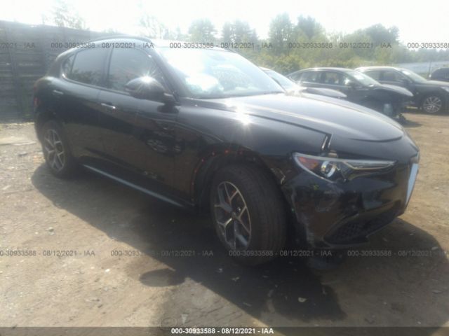 ALFA-ROMEO STELVIO 2020 zaspakbn3l7c92634