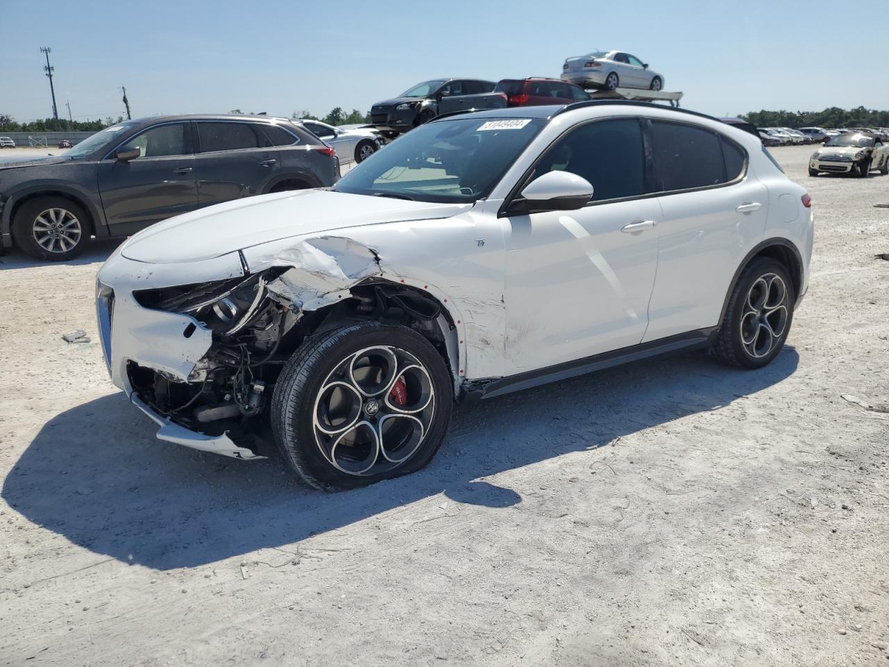 ALFA-ROMEO STELVIO 2022 zaspakbn3n7d25487