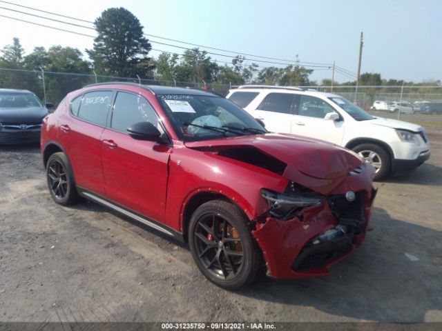 ALFA-ROMEO STELVIO 2019 zaspakbn4k7c45658