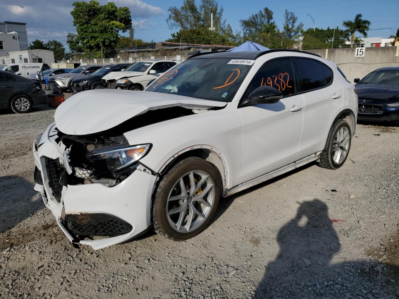 ALFA ROMEO STELVIO TI 2019 zaspakbn4k7c50293