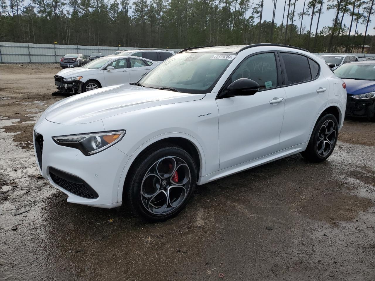 ALFA-ROMEO STELVIO 2022 zaspakbn4n7d45893