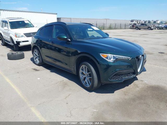 ALFA-ROMEO STELVIO 2019 zaspakbn5k7c31607