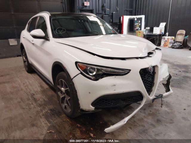 ALFA-ROMEO STELVIO 2019 zaspakbn5k7c50061