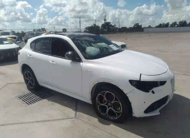 ALFA-ROMEO STELVIO 2022 zaspakbn5n7d45885