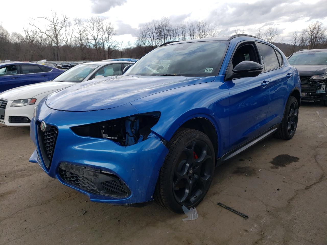 ALFA-ROMEO STELVIO 2024 zaspakbn5r7d79637