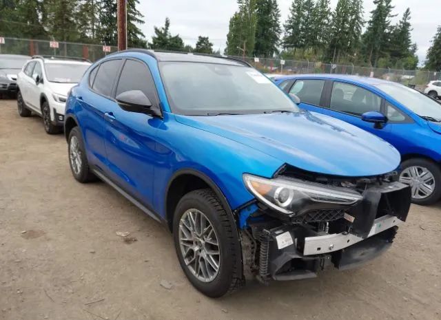 ALFA-ROMEO STELVIO 2019 zaspakbn6k7c42907