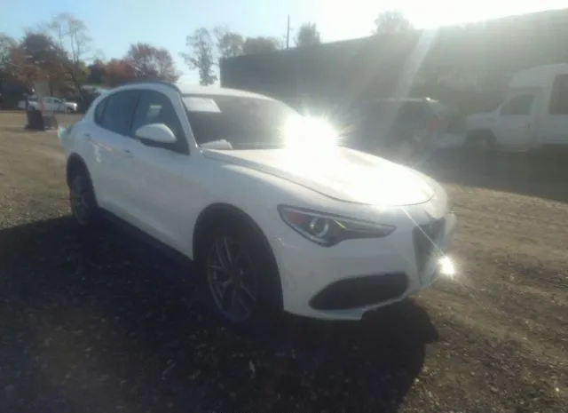 ALFA-ROMEO STELVIO 2019 zaspakbn6k7c51011