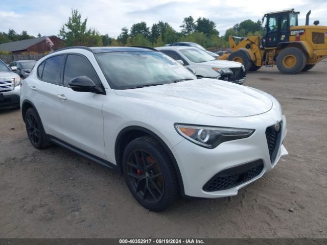 ALFA-ROMEO STELVIO 2019 zaspakbn6k7c53664