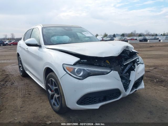 ALFA-ROMEO STELVIO 2021 zaspakbn6m7d16149