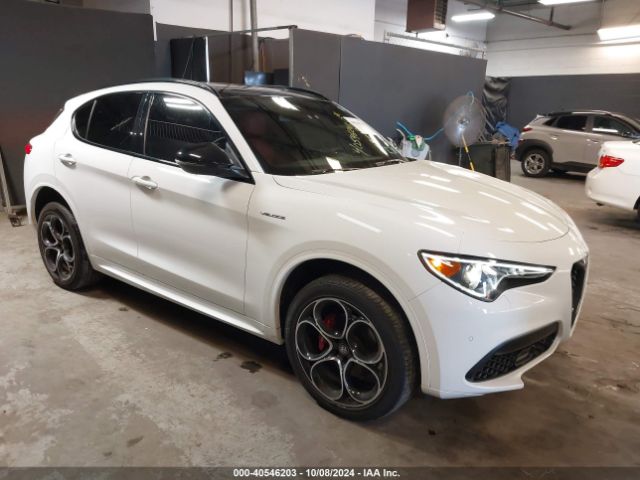 ALFA-ROMEO STELVIO 2022 zaspakbn6n7d50089