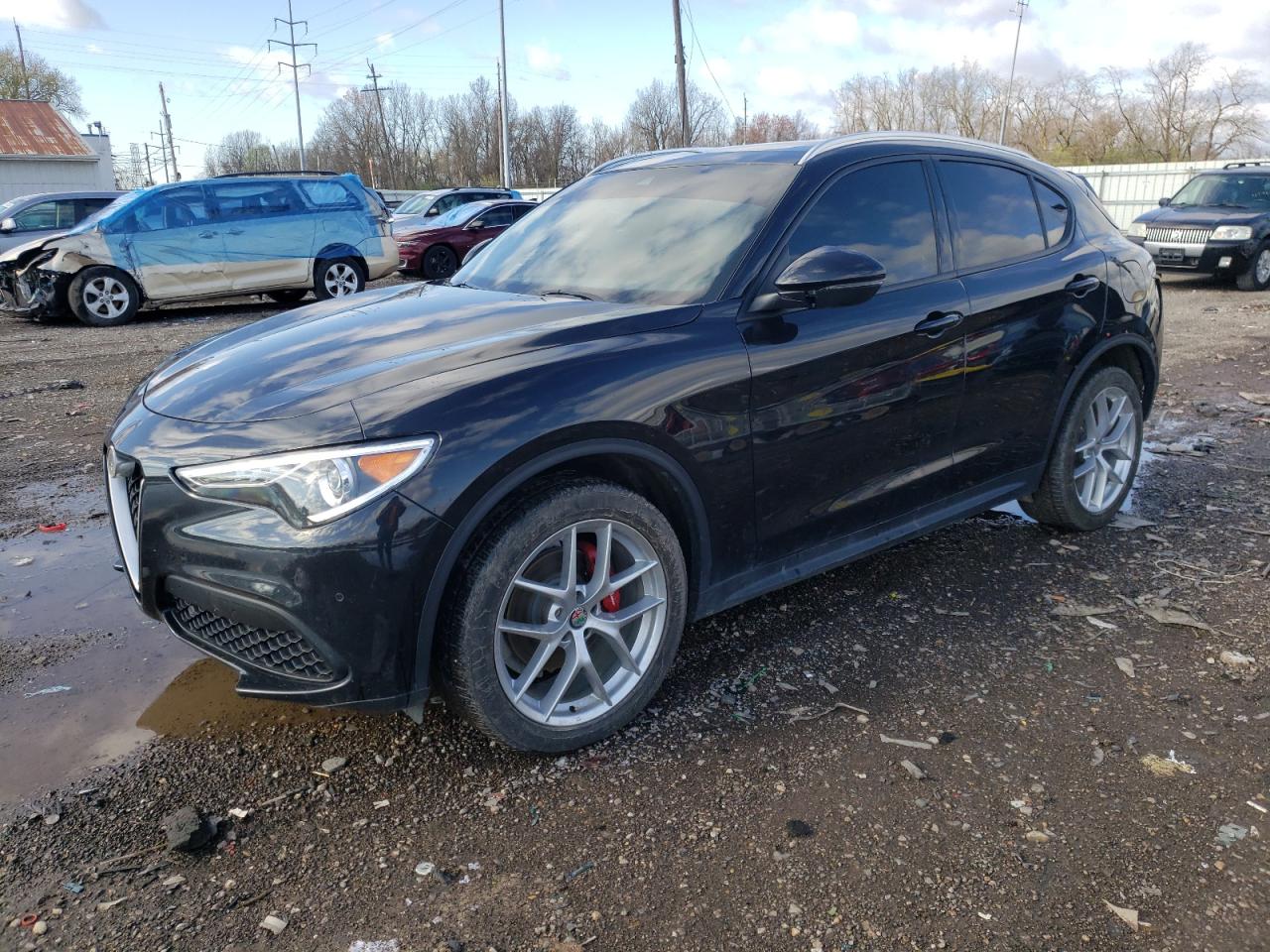 ALFA-ROMEO STELVIO 2019 zaspakbn7k7c39790