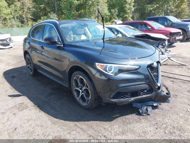 ALFA-ROMEO STELVIO 2020 zaspakbn7l7c76808