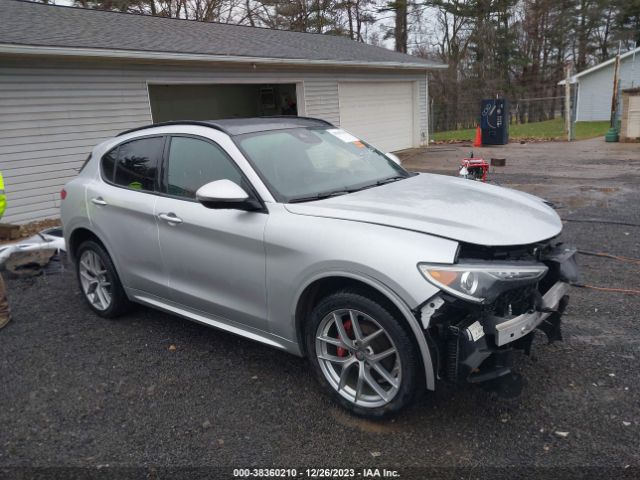 ALFA-ROMEO STELVIO 2020 zaspakbn7l7c92328