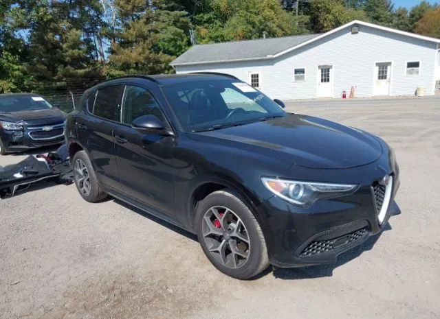 ALFA-ROMEO STELVIO 2020 zaspakbn7l7c96573