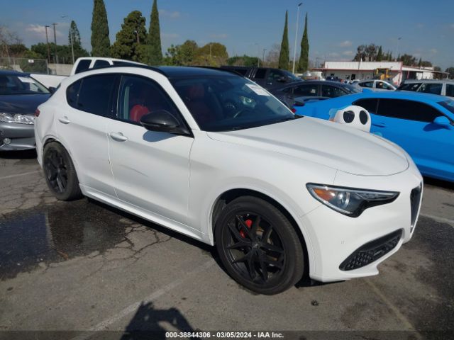 ALFA-ROMEO STELVIO 2020 zaspakbn7l7c97092